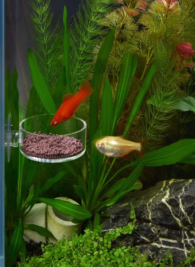 Dannisly Aquarium Shrimp Feeder Dish Round Fish Tank Feeder Bowls Clear Aquarium Feeding Cup with Suction Cup - Image 2
